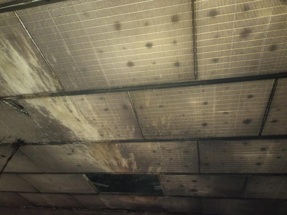 WhatsApp Image 2022-05-18 at 3.17.24 AM (1).jpeg