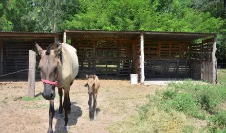 WhatsApp Image 2024-03-19 at 17.11.20.jpeg