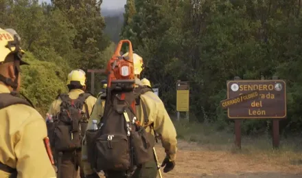 brigadistas parque  los alerces 25 de enero 2026.png