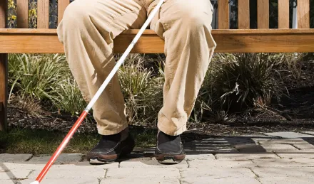 baston blanco portada.png