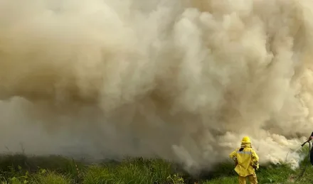 Incendios en Corrientes 